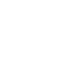 Monkey King